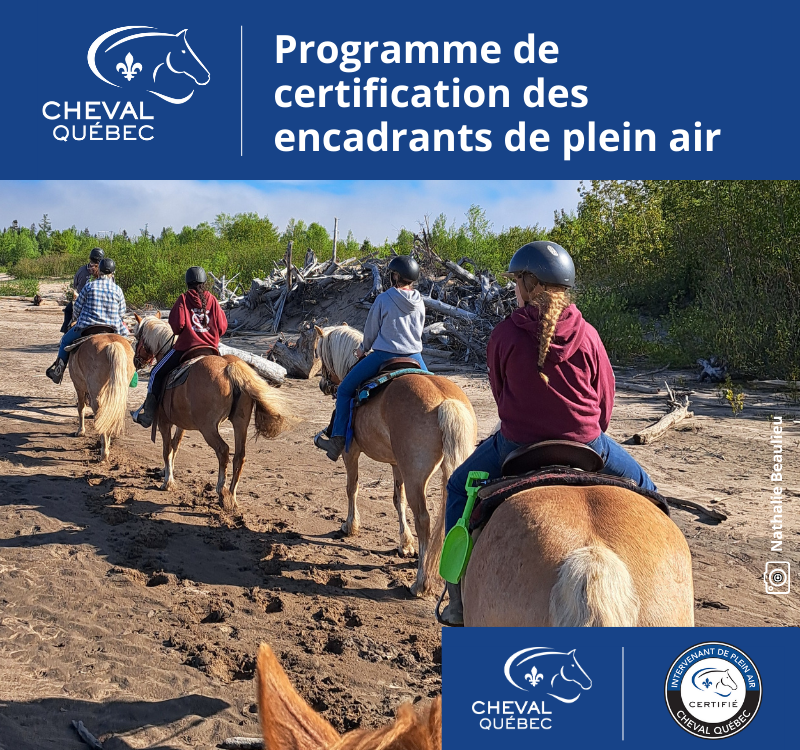 Instructeur en équitation de plein air